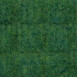 E7